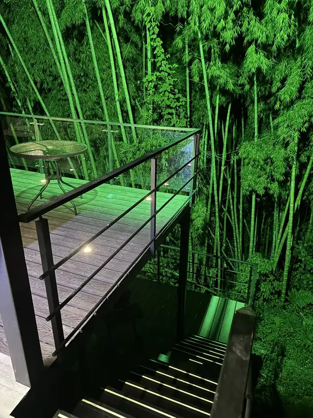 El deck iluminado entre la guadua.