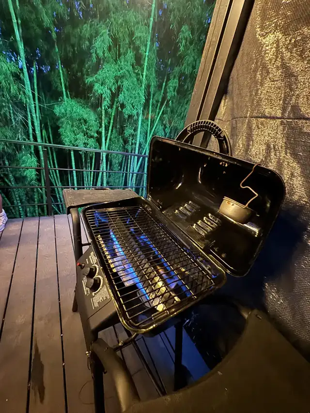 Asador y cocina exterior